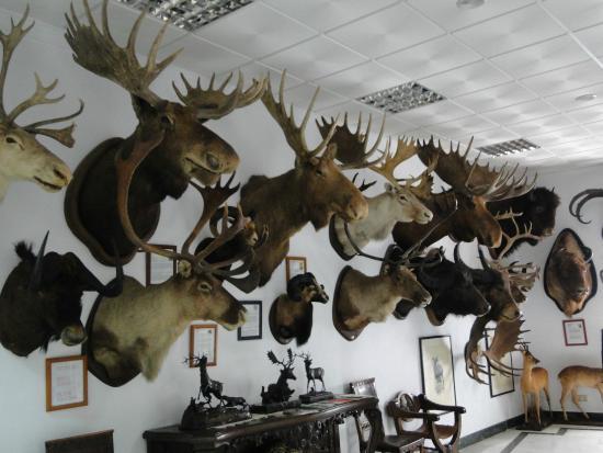 Exposición de fauna salvaje de Ronda